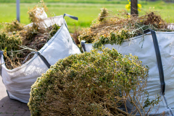 Best Hoarding Cleanup  in Nett, MO